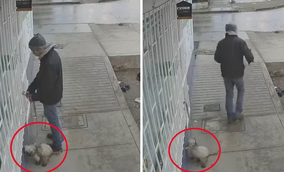 Hombre abandona a su perro en la puerta de una veterinaria | VIDEO