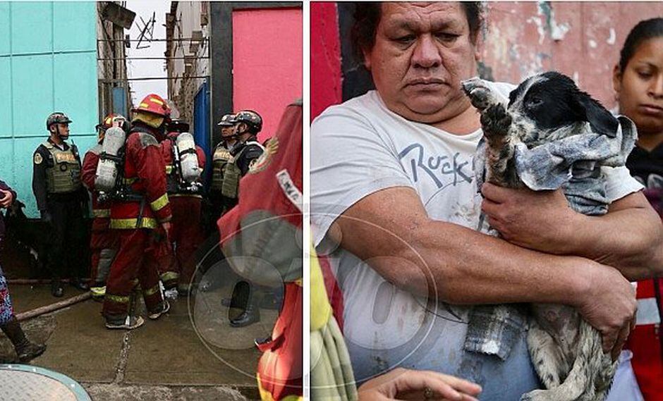 Bomberos rescatan a 3 de 17 perritos durante incendio en el Callao