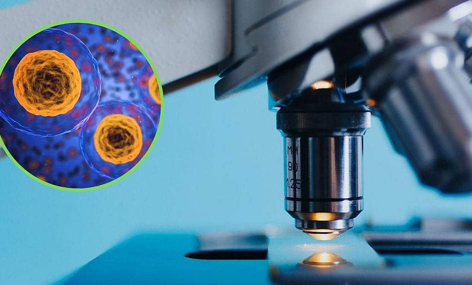 Descubren que la vitamina C haría "inmortal" a las células cancerígenas