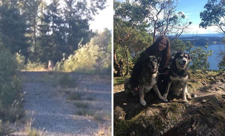 Mujer se salva de ser atacada por un puma gracias a una canción | VÍDEO