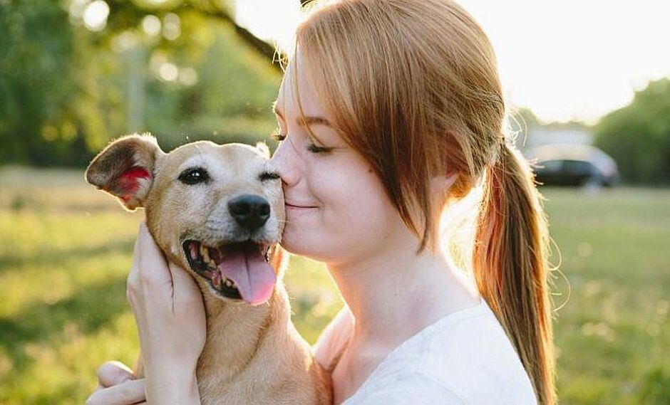 ¿Amas más a tu perro que a tu pareja? La ciencia explica la razón