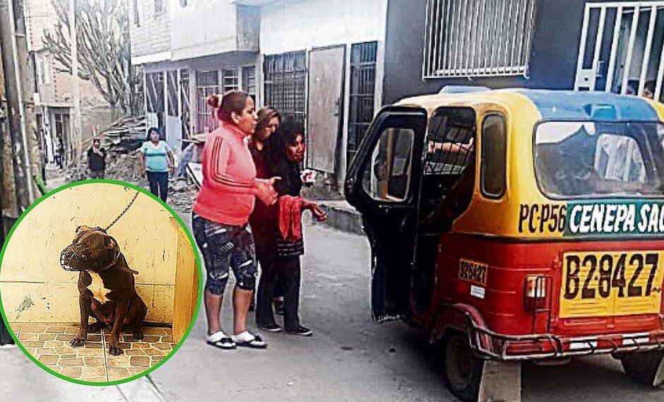 Perro desfigura rostro y deja en delicada situación a mujer comerciante