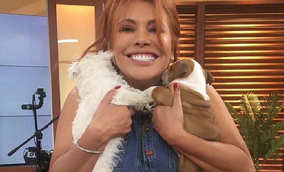 Magaly Medina responde tras rumores de mudanza a ATV