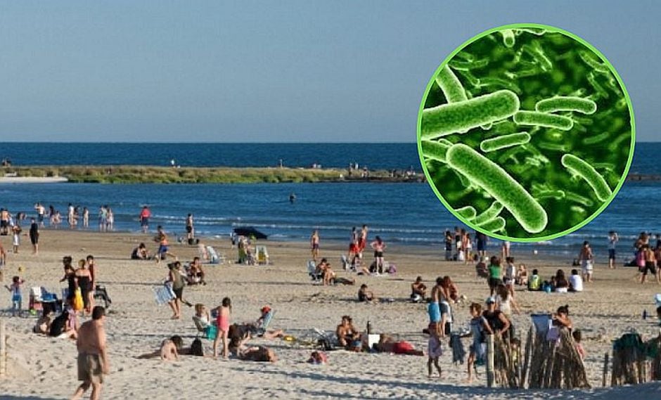 Hombre ingresa a la playa, se infecta por bacteria y muere