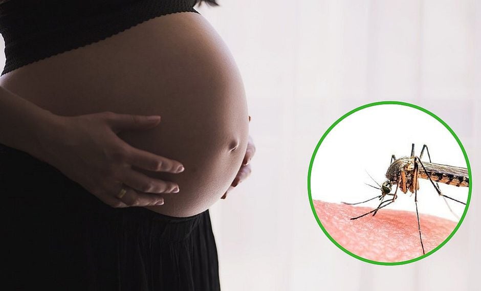 Cinco casos confirmados de zika en Piura y tres de estos son en mujeres embarazadas