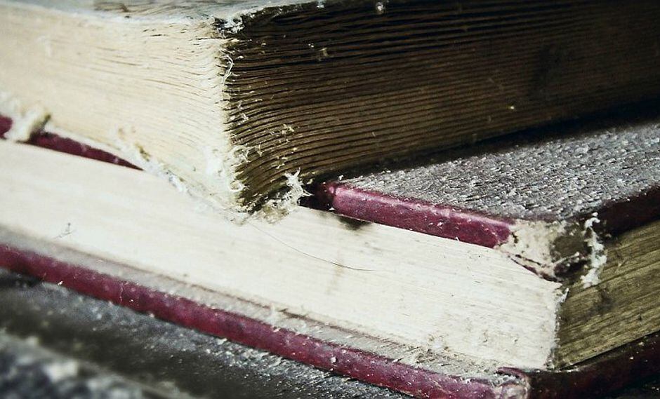 ¿Cómo cuidar los libros de la humedad y las polillas?
