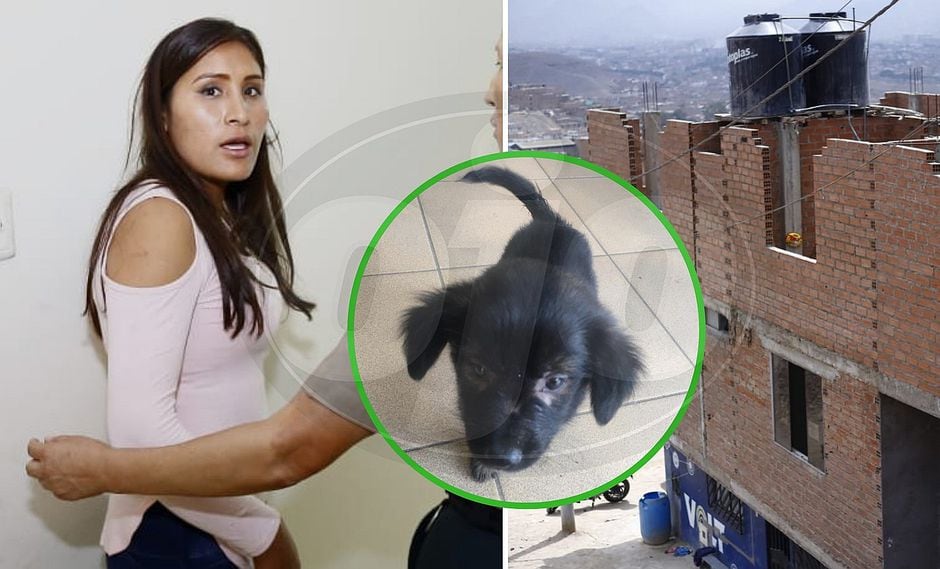Liberan a mujer que metió a sus hijas a tanque y lanzó a perrito de tercer piso