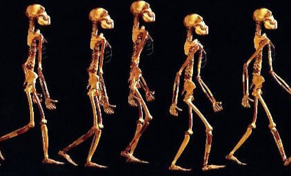 La inteligencia artificial confirma que existió otra especie de homínidos