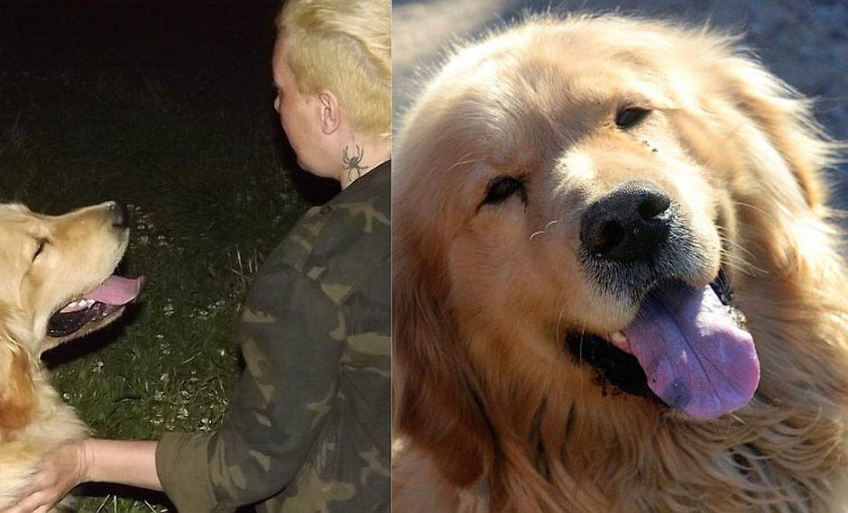 Mujer regala su auto a quien le devuelva a su perro