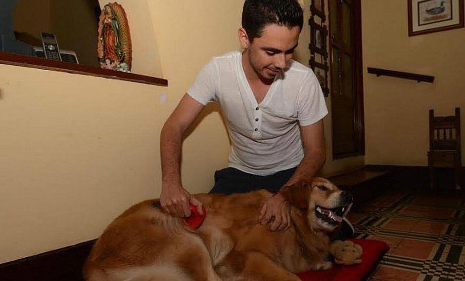 4 tips para elegir la comida ideal para tu mascota
