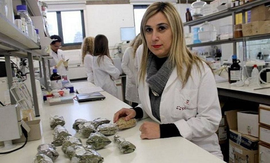 Espray natural para conservar alimentos reemplaza a bolsas de plástico