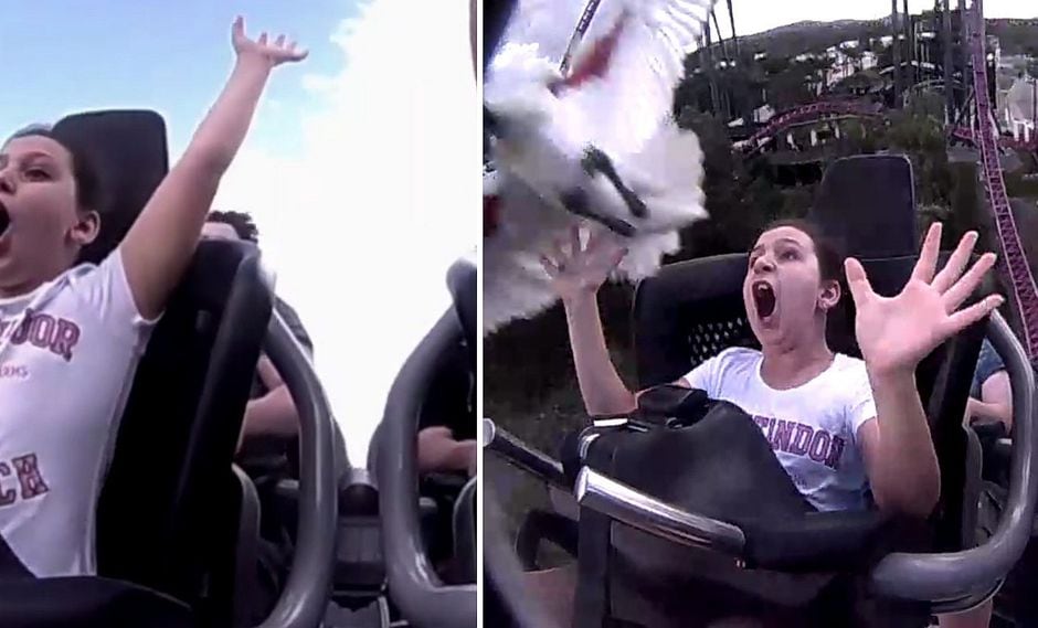 Ave impacta en la cara de una mujer en plena montaña rusa│VIDEO