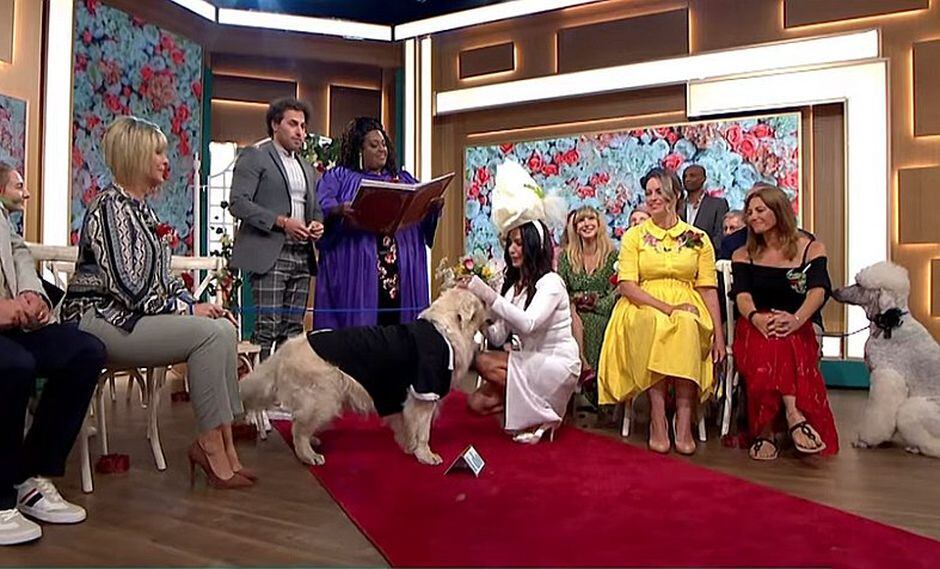 Exmodelo "decepcionada" del amor se casa con su perro | VIDEO