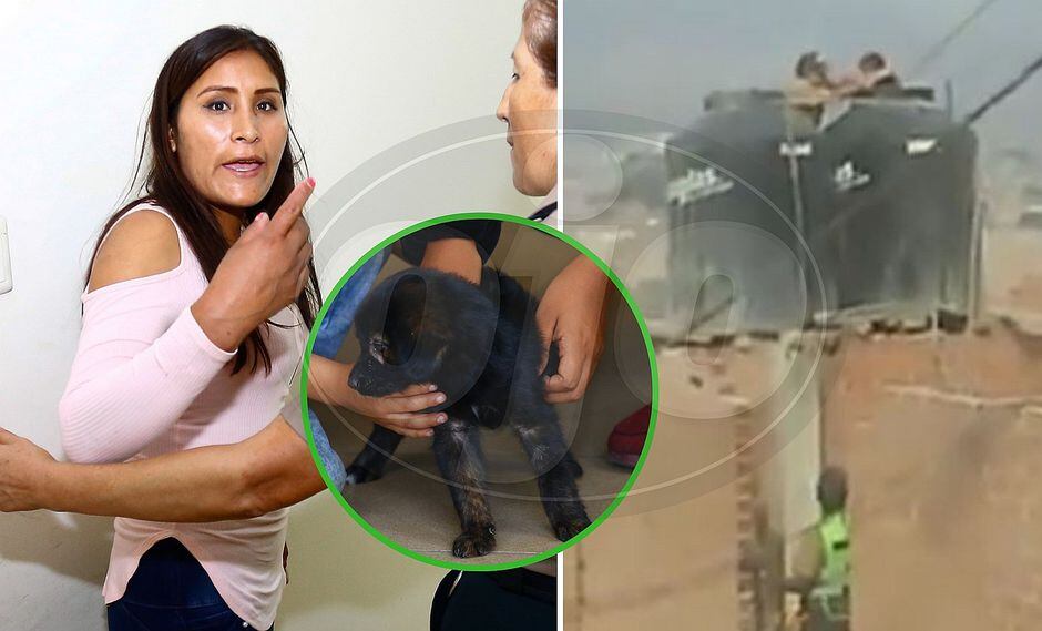 Madre torturó a sus hijas metiéndolas en tanque de agua y lanzó a perrito del tercer piso