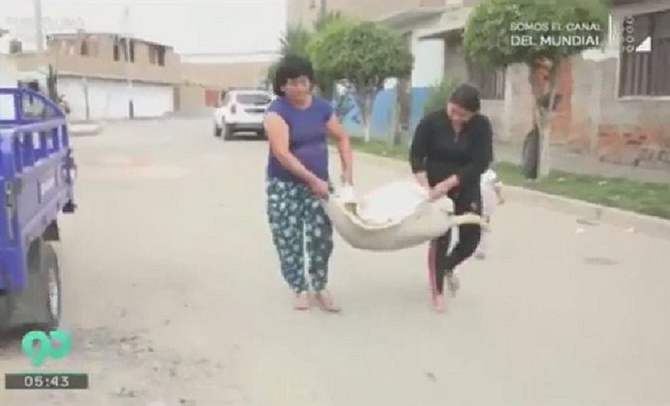 Perrito muere al ser apuñalado por vecino que asegura que lo mordió