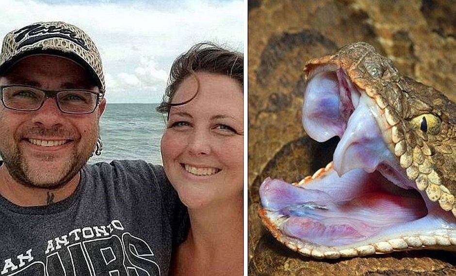 Hombre decapita a venenosa serpiente y animal en venganza lo mordió (FOTOS)