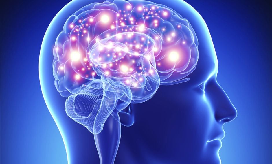"El cerebro trabaja siempre, aunque no parezca", advierte científico