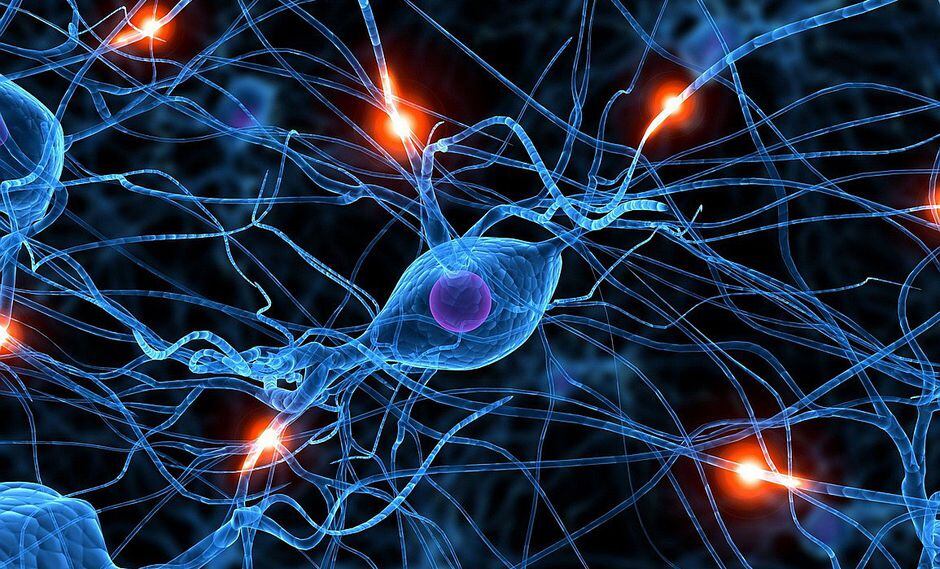 Científicos crean neuronas y las usarán para reparar daños en médula