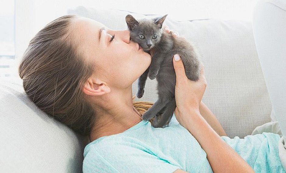 20 de febrero: hoy se celebra el Día Internacional del Gato