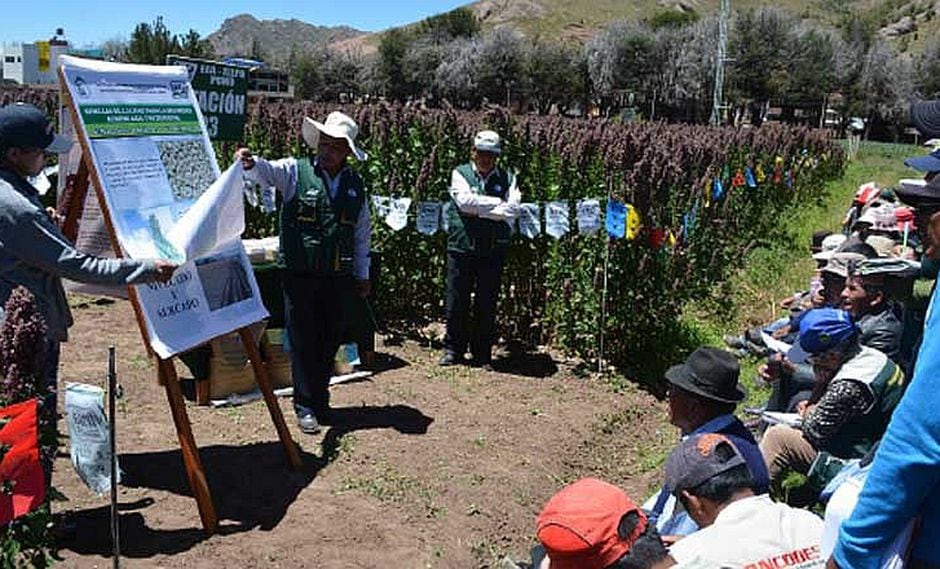 INIA capacita a productores de quinua en Puno