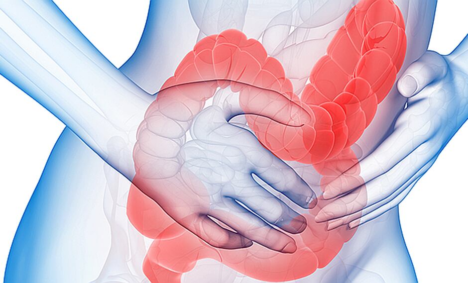 Consumo de frutas y verduras controlan el colon irritable