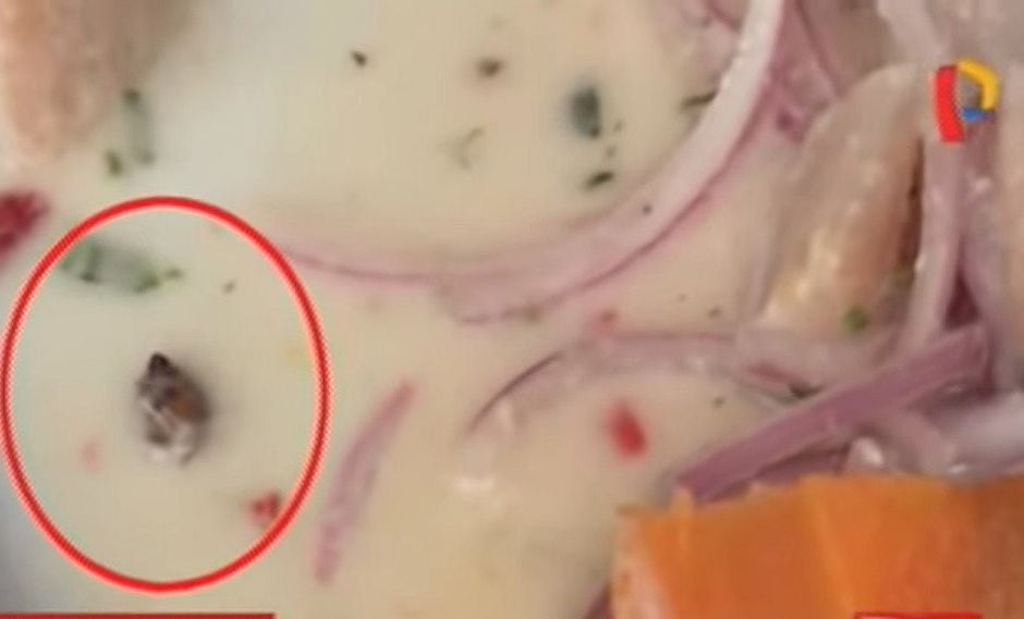 Comensal encuentra insecto en ceviche de conocido restaurante (VIDEO)