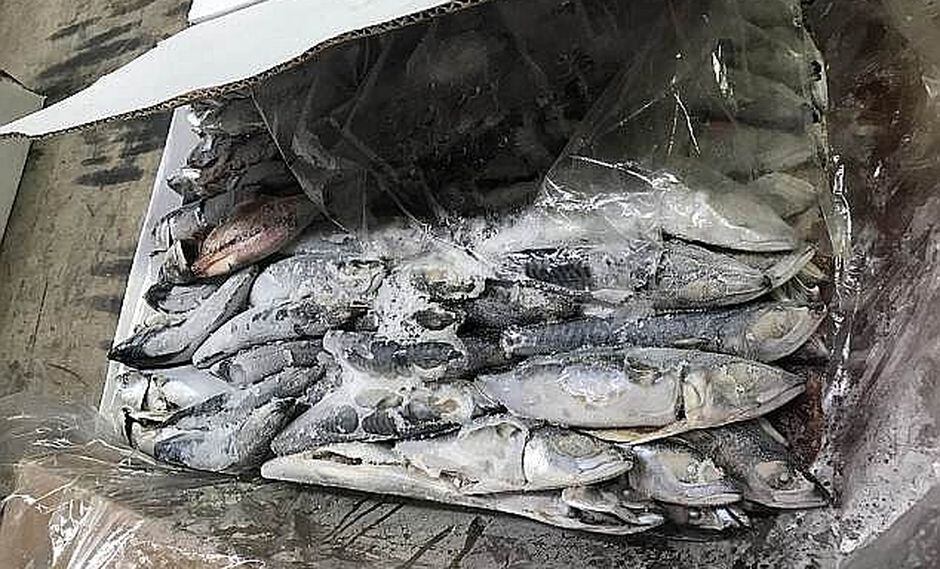 Nuestro pescado peruano hace noticia en Australia pero por mala razón (FOTOS)