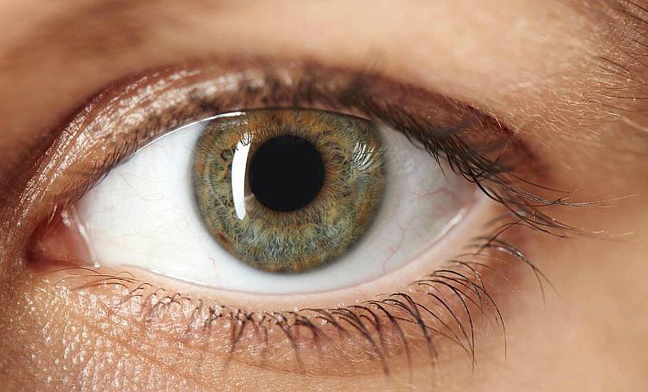 El sentido de la vista: ¿cómo funcionan los ojos?