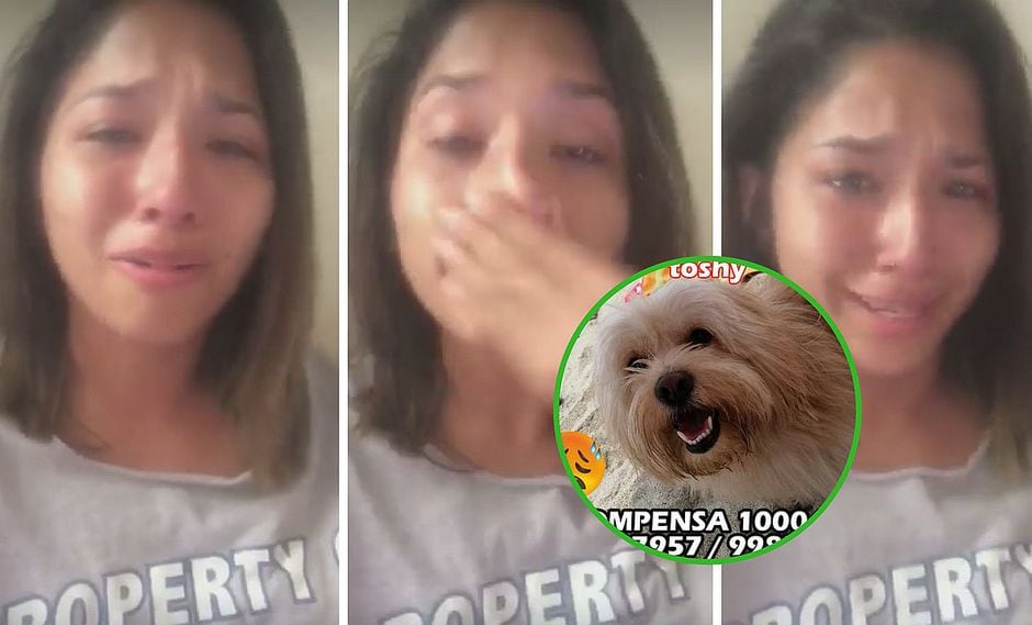 Jovencita graba conmovedor vídeo donde llora por su perrito perdido