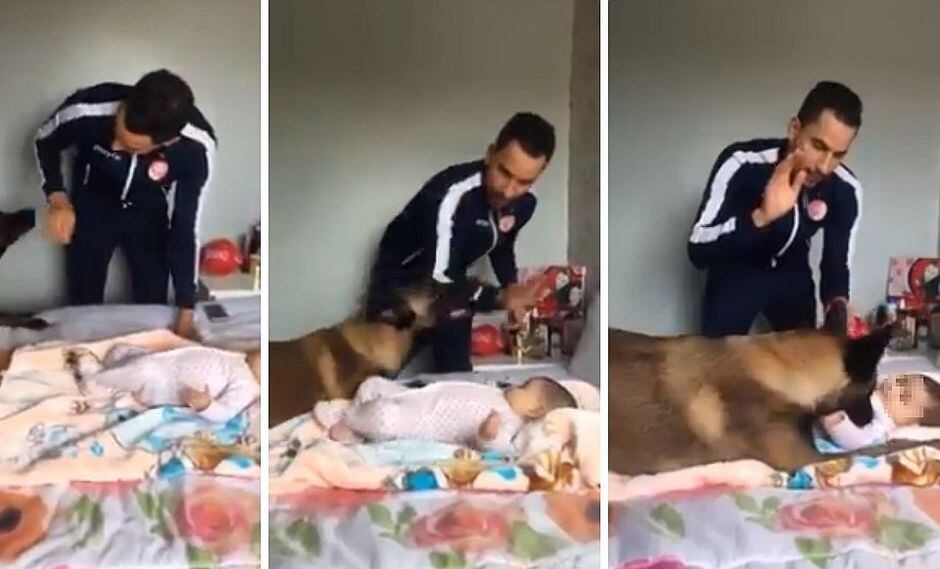 Facebook: hombre simula pegar a una bebé y perro sale a defenderla | VÍDEO