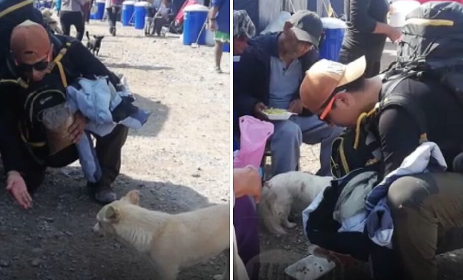 El veterinario que fue por su cuenta a sanar a los perritos afectados por el huaico en Mirave (FOTOS)