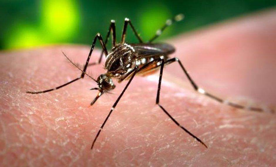 El zika también puede provocar mielitis, grave trastorno de los miembros